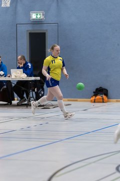 Bild 88 - F HSG Pinnau2 - Rellinger TV2 : Ergebnis: 27:20